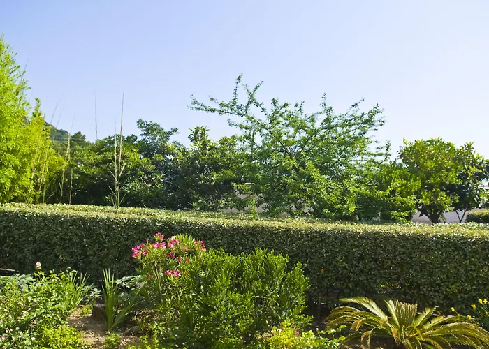 サラ ホテル カプリ