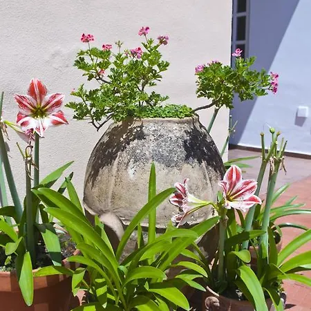 酒店 莎拉别墅酒店 卡普里