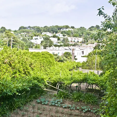 Sarah فندق كابري