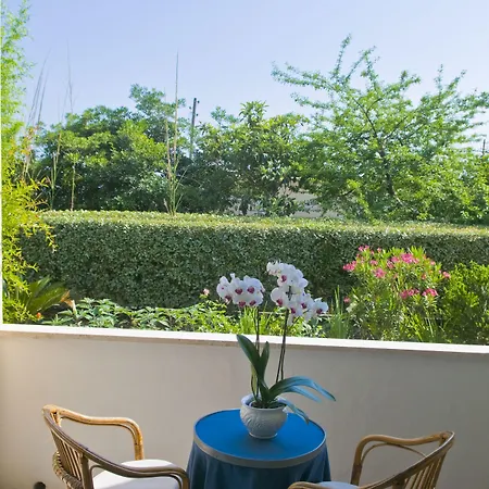 酒店 莎拉别墅酒店