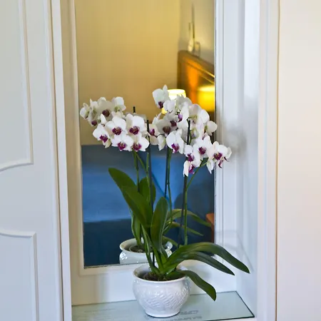 Sarah فندق كابري