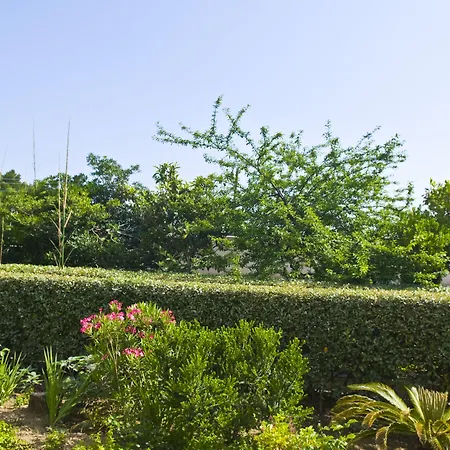 莎拉别墅酒店 酒店 卡普里