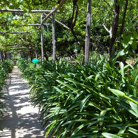 莎拉别墅酒店 酒店 4*