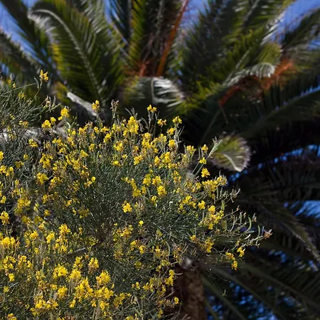 莎拉别墅酒店 4*