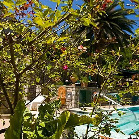 Hotel Sarah 4*